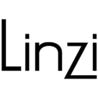 Linzi Shoes